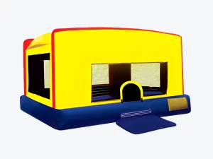 Indoor-Outdoor Bouncer